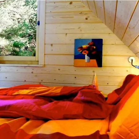 Baltic Dream Rozewie